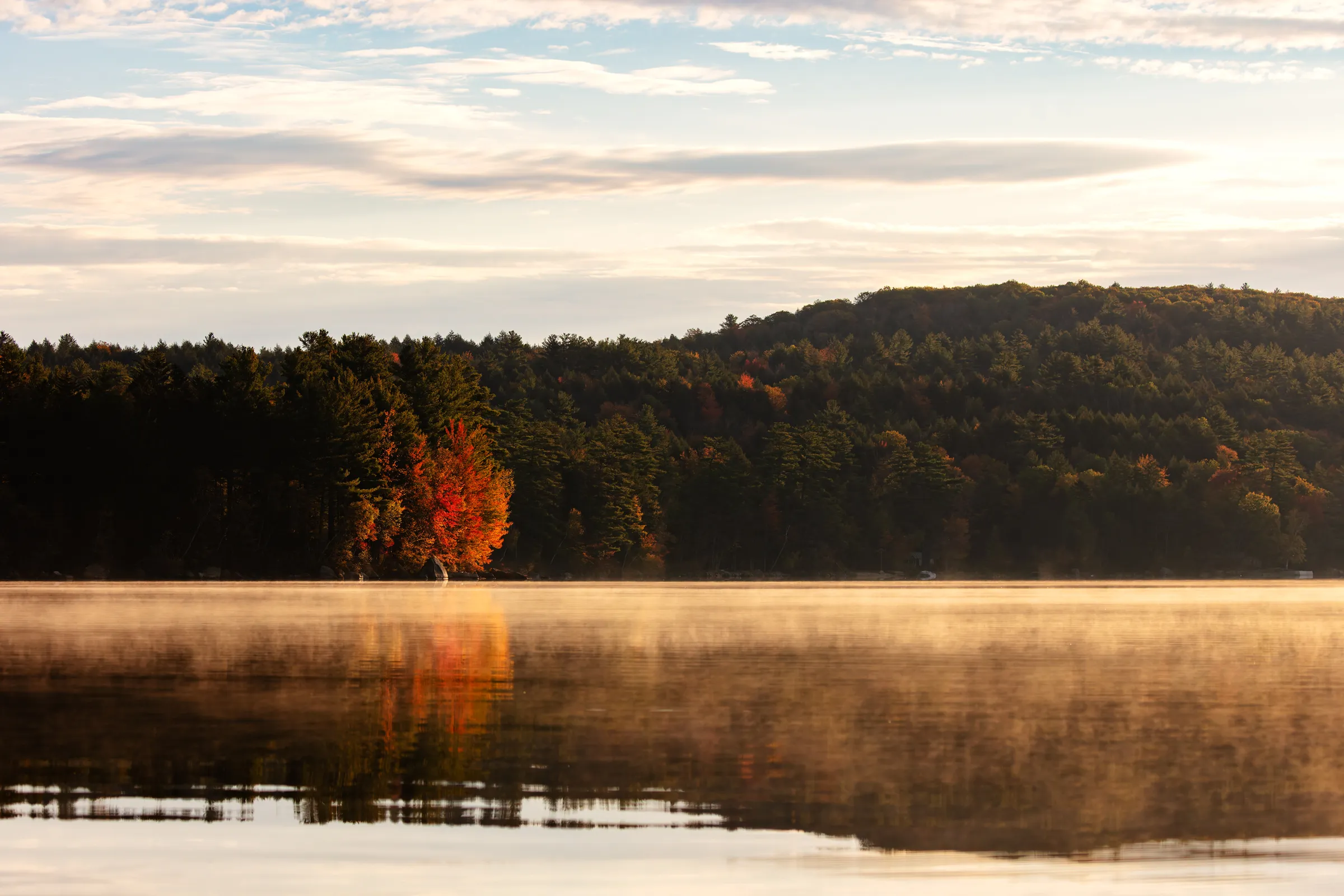 Water Quality