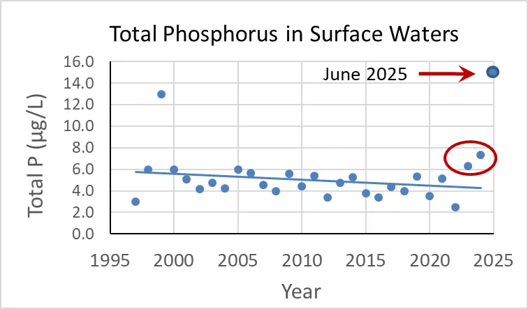 Phosphorus Levels in Surface Waters: Pleasant Lake 2000–2025