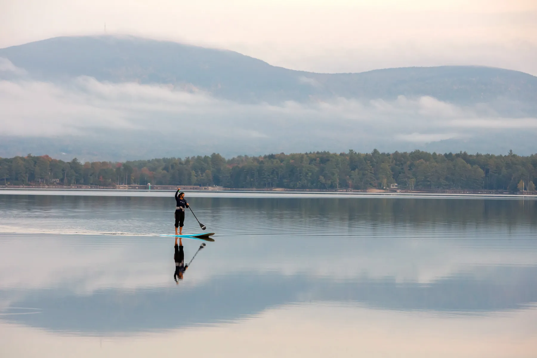 Human health risks from cyanobacteria