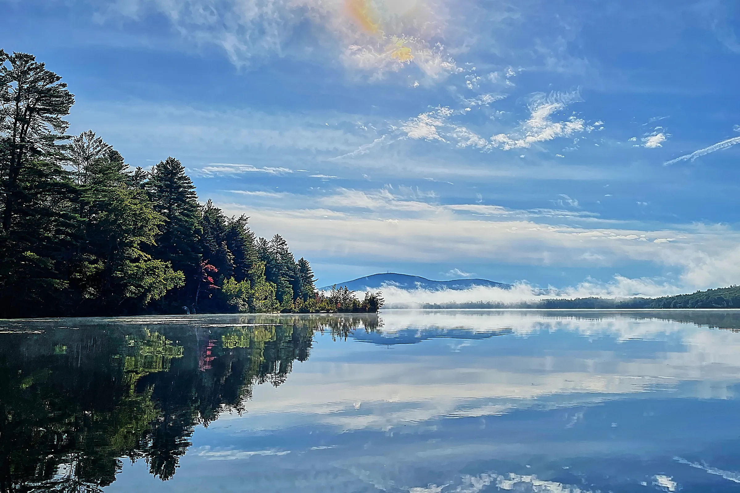 The Nature of Pleasant Lake Newsletter