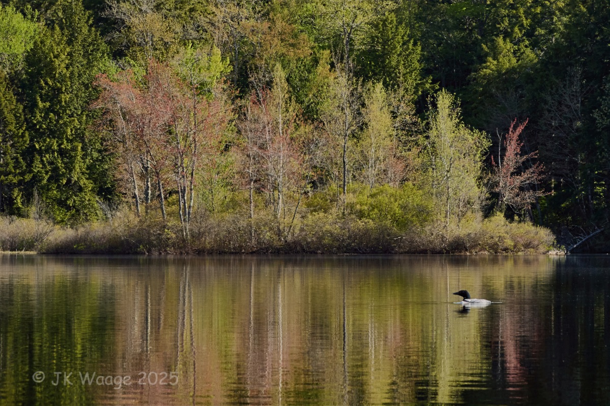 Thumbnail for New Season on Pleasant Lake