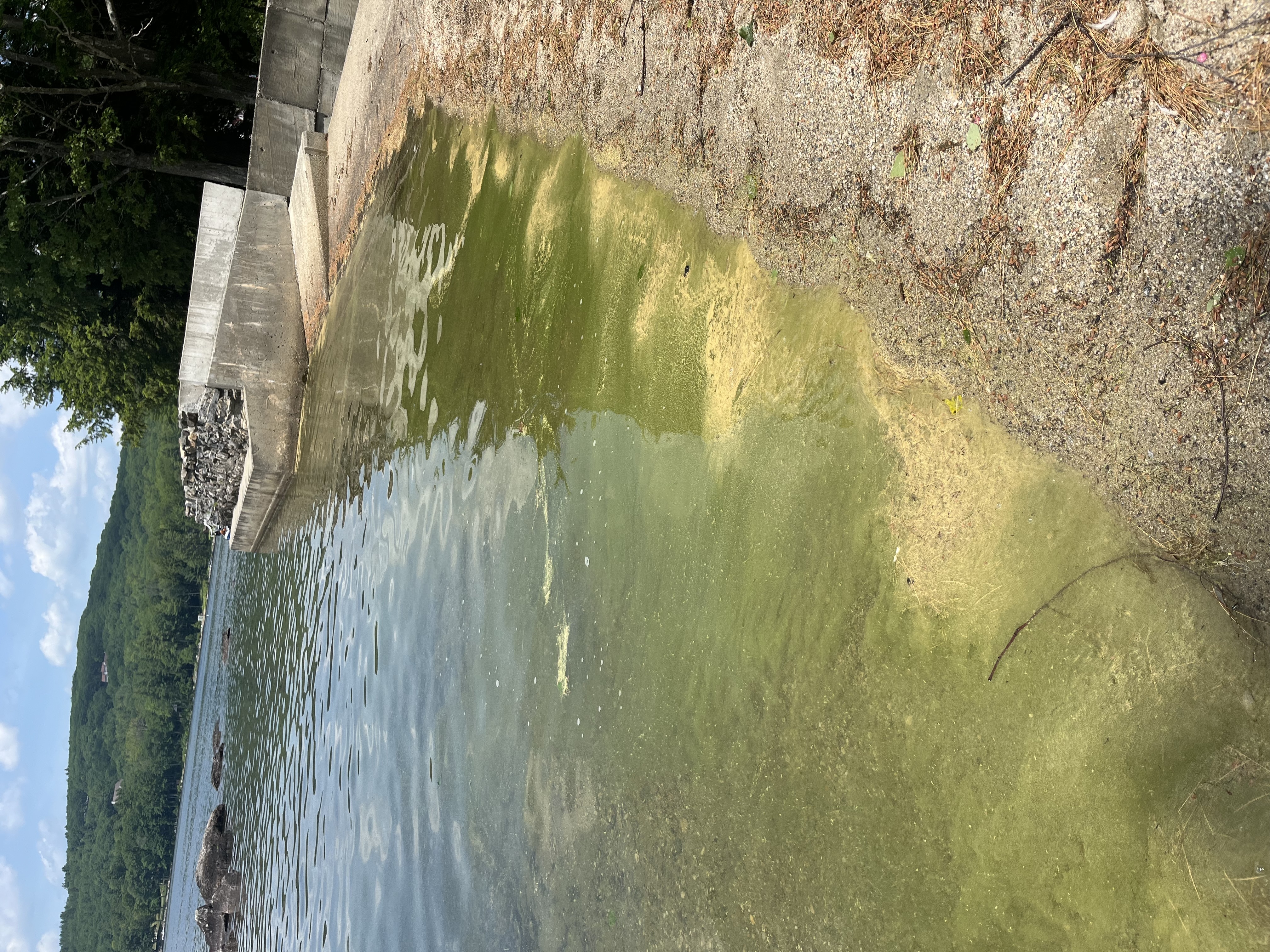 Thumbnail for Pleasant Lake Cyanobacteria Warning