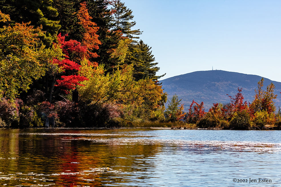 Thumbnail for Glowing Leaves and Fall Visitors