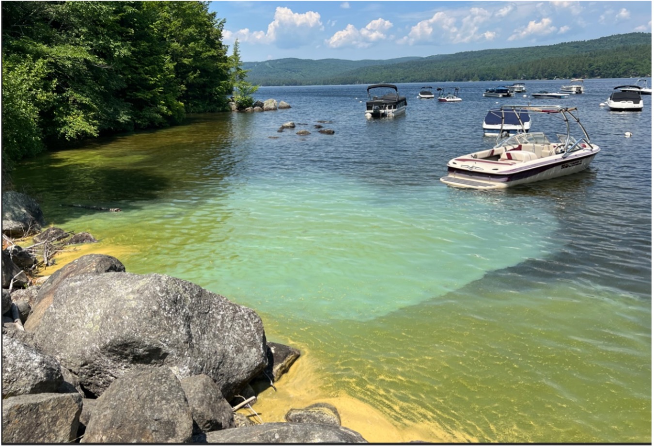 Thumbnail for Presentation on Cyanobacteria
