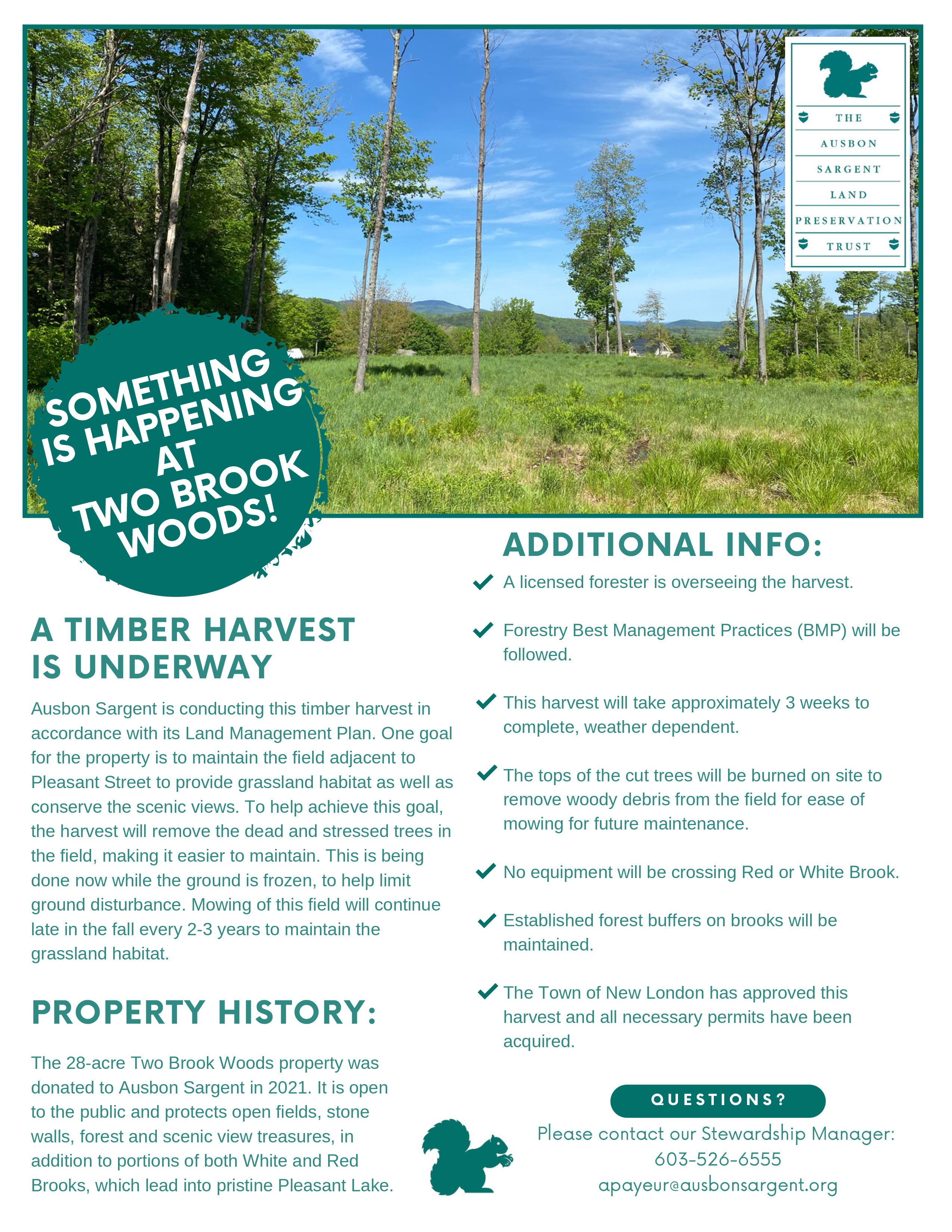 Thumbnail for Two Brook Woods Timber Cut