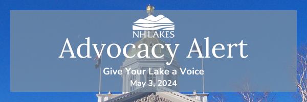 Thumbnail for NH Lakes Advocacy Alert